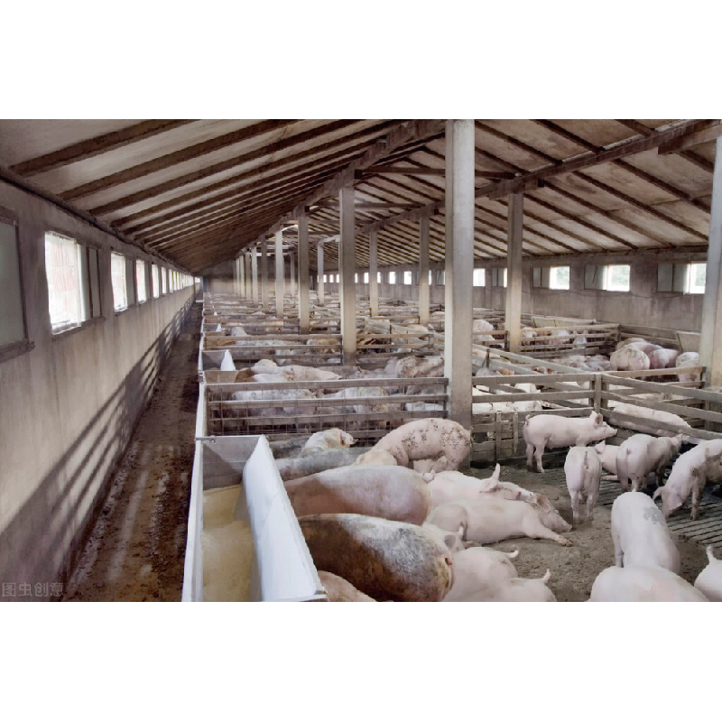 Prefabricated pigsty construction / Pigsty design for pig farms / Cattle farm / Animal shed / Steel structure pigsty