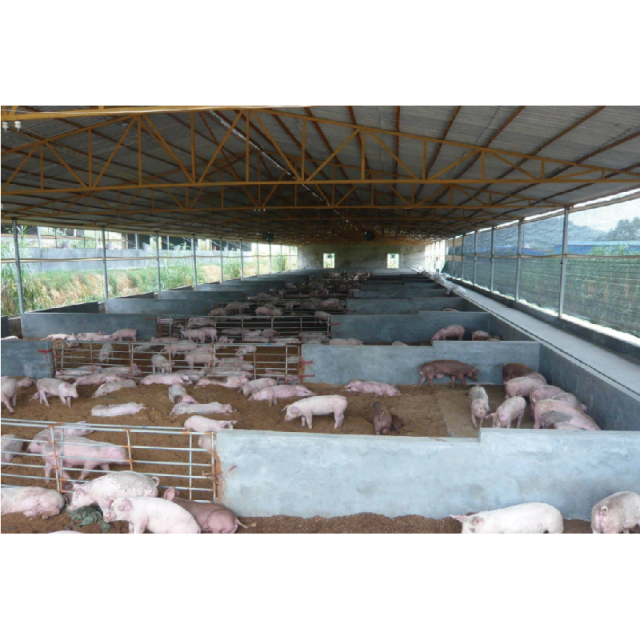 Customized Steel Structure Shed Kits Prefabricated Cow Farm Chicken /Goat / Pig Shed House/Dairy Shed