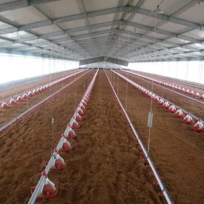 Broiler Chicken Farm Steel Structure Building with Ventilation System and Insulation Material