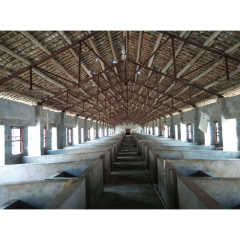 Customized Steel Structure Shed Kits Prefabricated Cow Farm Chicken /Goat / Pig Shed House/Dairy Shed