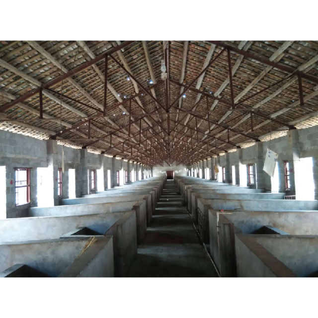 Customized Steel Structure Shed Kits Prefabricated Cow Farm Chicken /Goat / Pig Shed House/Dairy Shed