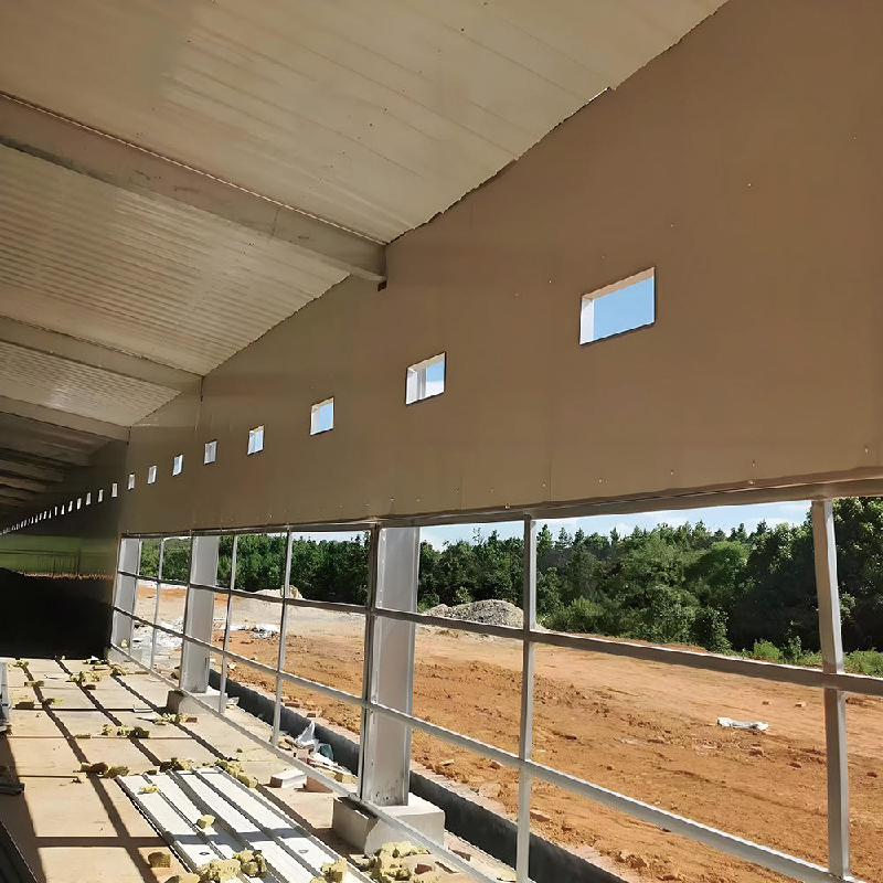 Prefabricated steel-built dairy farm / chicken farm / duck farm / pig pen / sheep pen