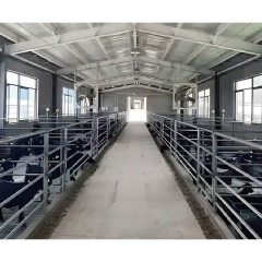 Modern Design Steel Structure Prefab Light Metal Cattle Shed for Farm
