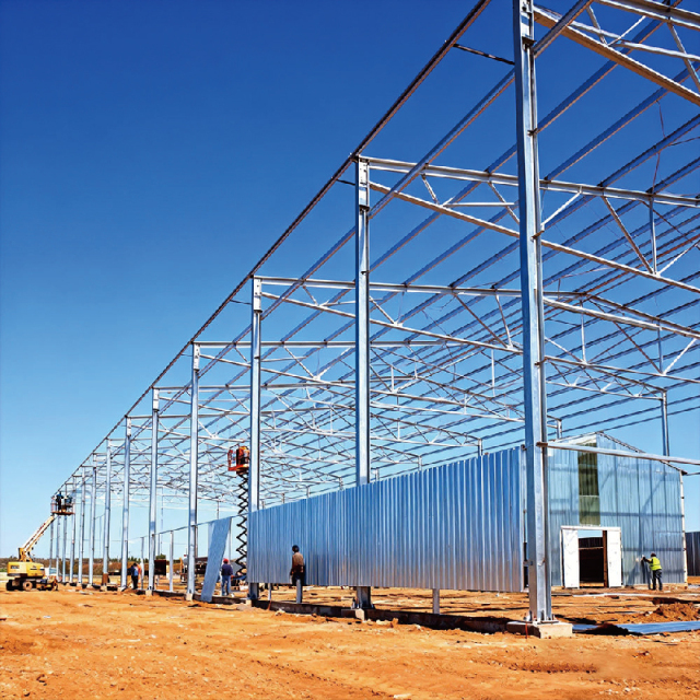 Chickens Poultry Farm / Prefabricated Poultry House