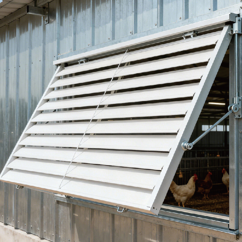 Economical steel structure poultry farms / cattle sheds, pig houses, chicken houses