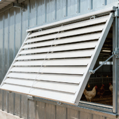 Economical steel structure poultry farms / cattle sheds, pig houses, chicken houses