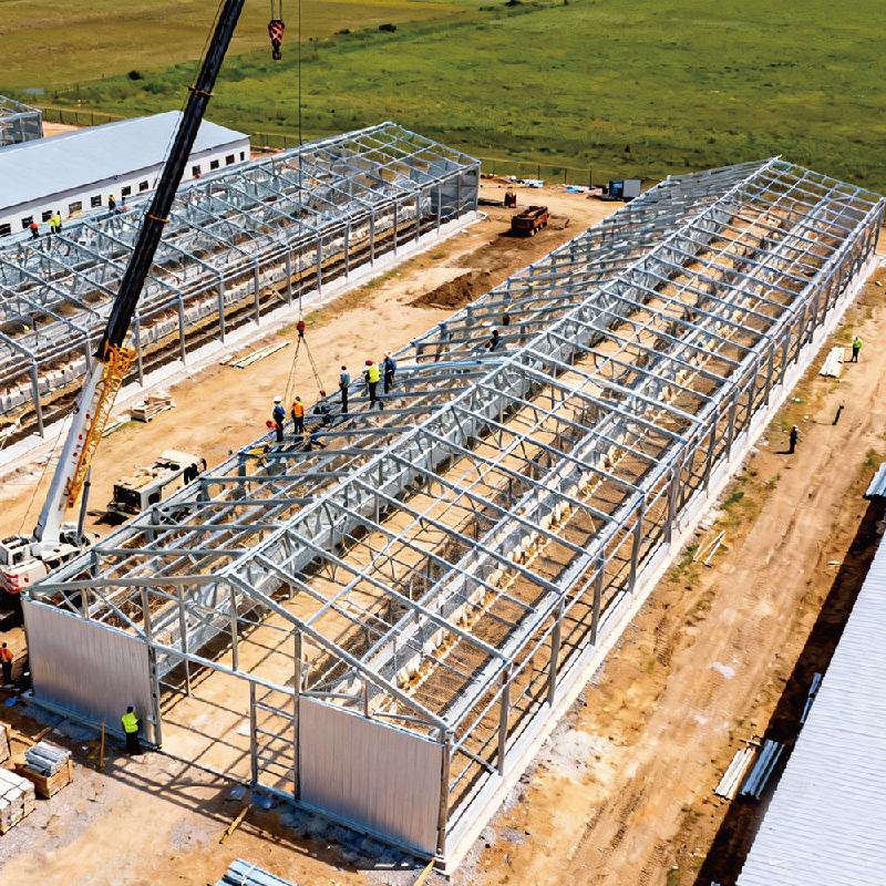 Customized prefabricated metal poultry house steel structure chicken coop