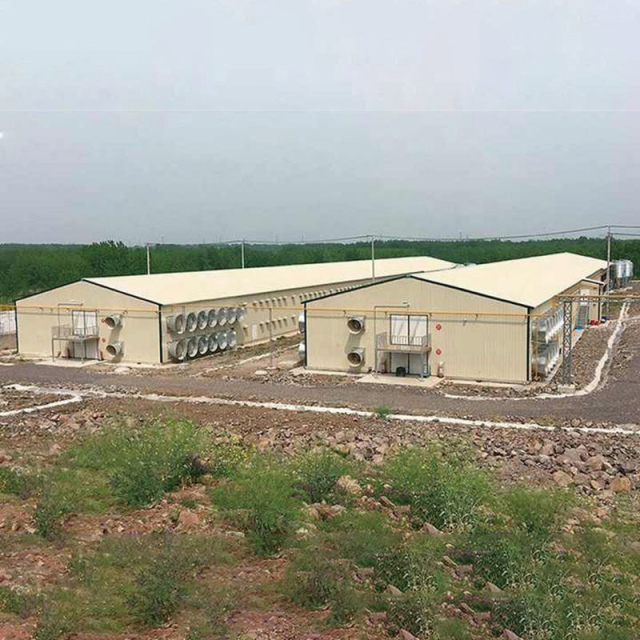 Chickens Poultry Farm / Prefabricated Poultry House