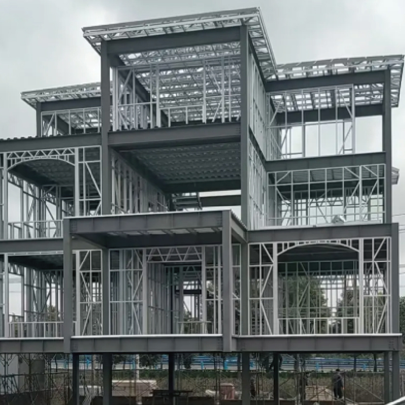 Luxury Steel Structure Villa and House Design