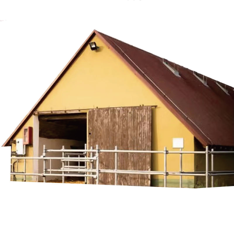 Steel frame structure farmhouse / chicken coop / poultry farm