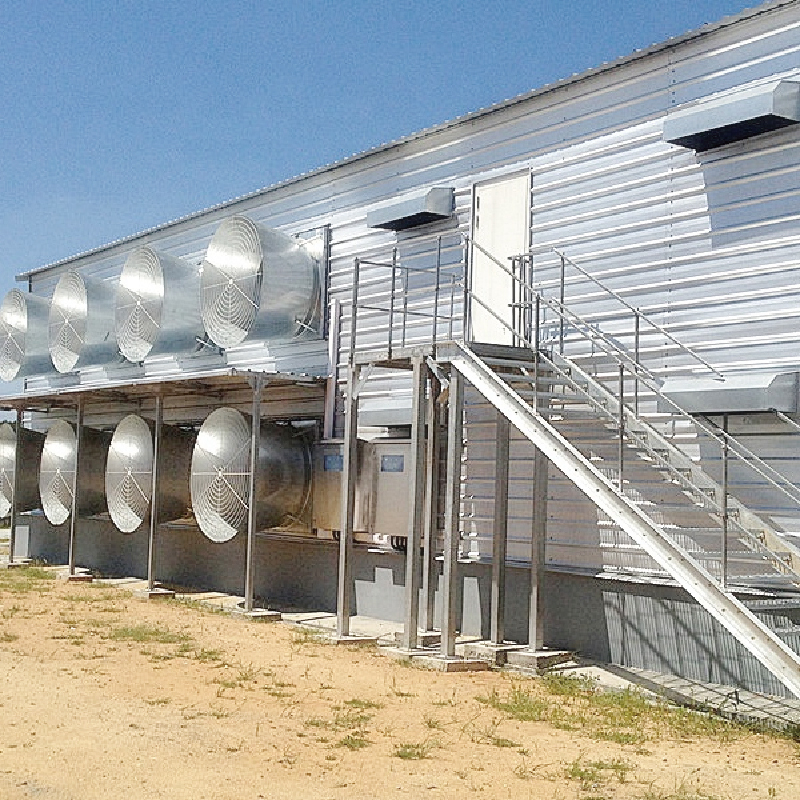 High-quality pre-designed pig farm building / Steel Structure Poultry House