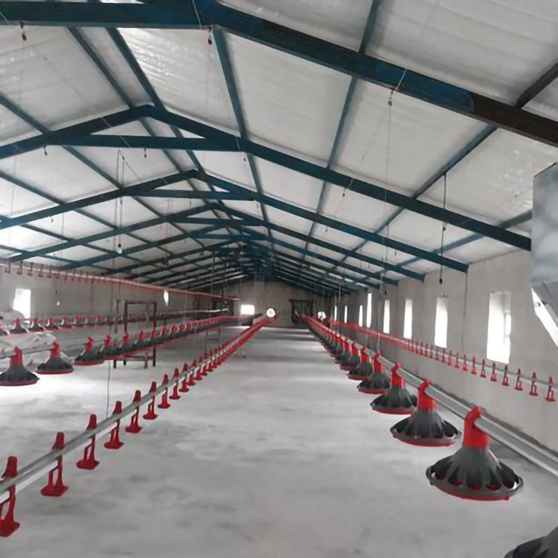 Environmentally friendly industrial prefabricated steel structure chicken farm