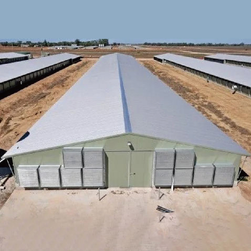 Prefabricated Galvanized Steel Frame Chicken Farms House