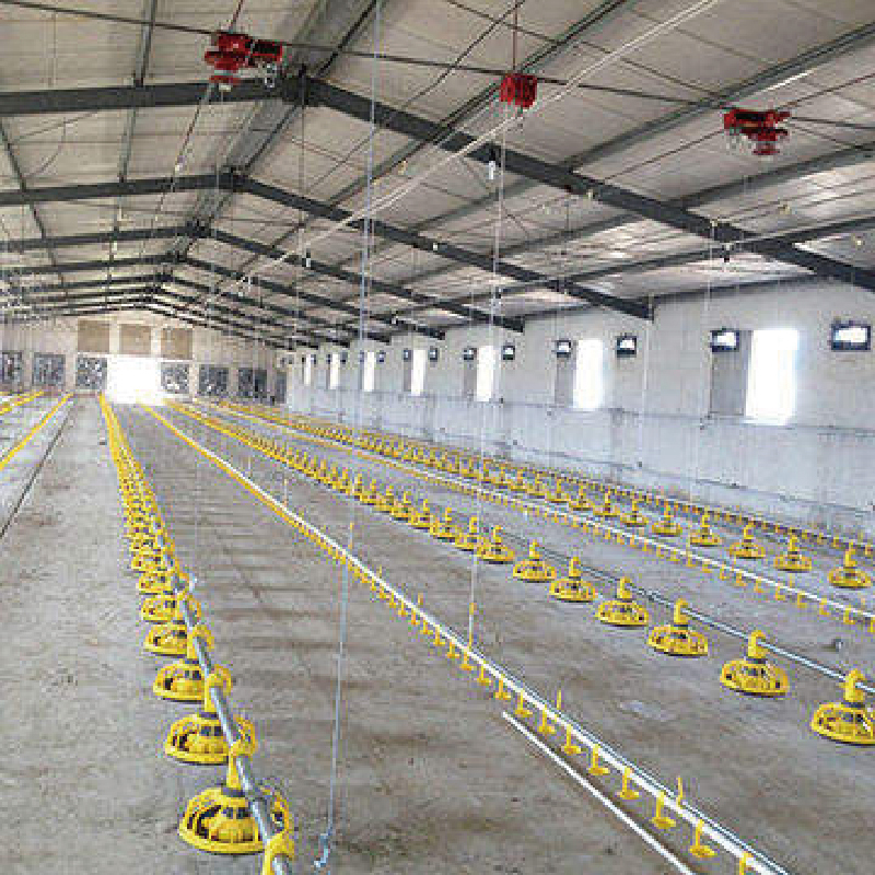 Steel frame structure farmhouse / chicken coop / poultry farm