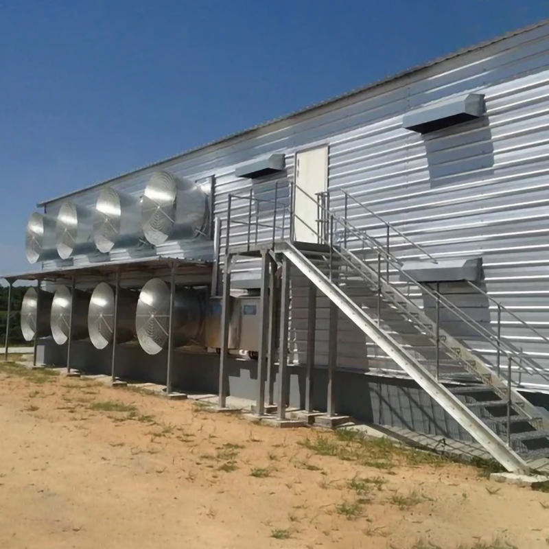 Chickens Poultry Farm / Prefabricated Poultry House