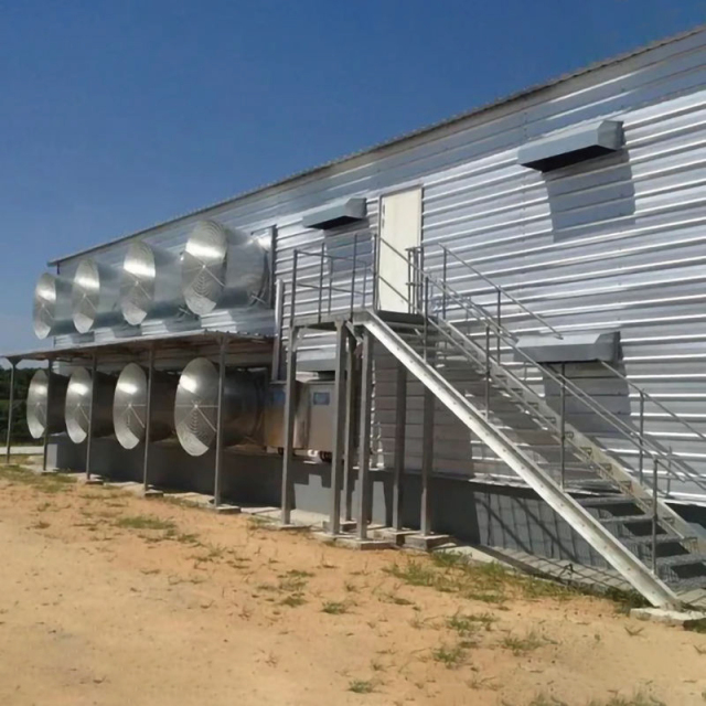 Chickens Poultry Farm / Prefabricated Poultry House