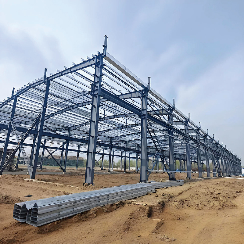 Construction Farm Design Steel Structure Pig Shed