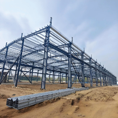 Construction Farm Design Steel Structure Pig Shed