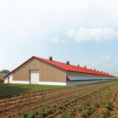 Economical steel structure poultry farms / cattle sheds, pig houses, chicken houses