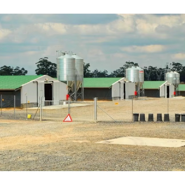 Environmentally friendly industrial prefabricated steel structure chicken farm
