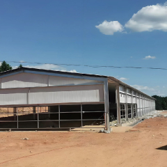 High-quality pre-designed pig farm building / Steel Structure Poultry House