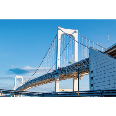 Steel structure bridge / Compact reinforced concrete bridge structure