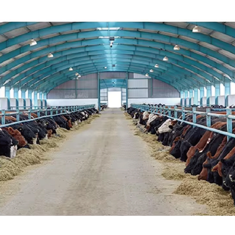 Durable prefabricated light steel structure poultry house / chicken coop / goat shed / cattle shed