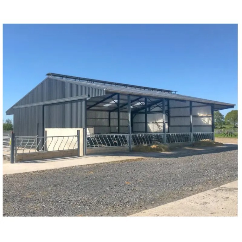 Modern Design Steel Structure Prefab Light Metal Cattle Shed for Farm