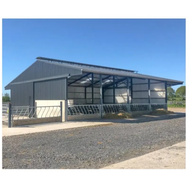 Modern Design Steel Structure Prefab Light Metal Cattle Shed for Farm