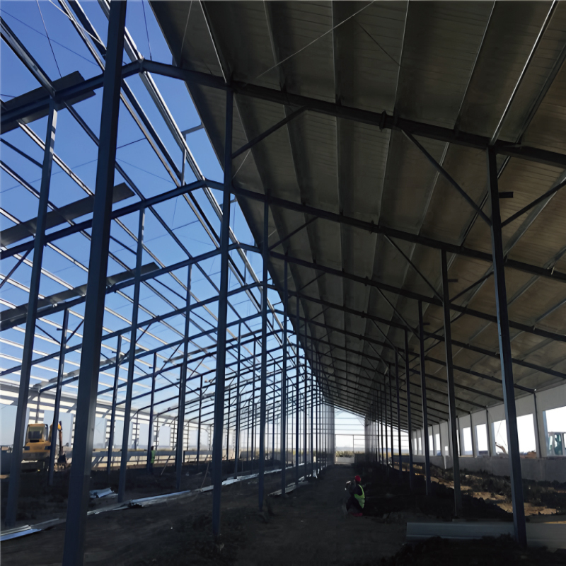 Customized Steel Structure Shed Kits Prefabricated Cow Farm Chicken /Goat / Pig Shed House/Dairy Shed