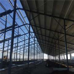 Customized Steel Structure Shed Kits Prefabricated Cow Farm Chicken /Goat / Pig Shed House/Dairy Shed