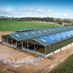 Environmentally friendly industrial prefabricated steel structure chicken farm