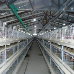 Chickens Poultry Farm / Prefabricated Poultry House