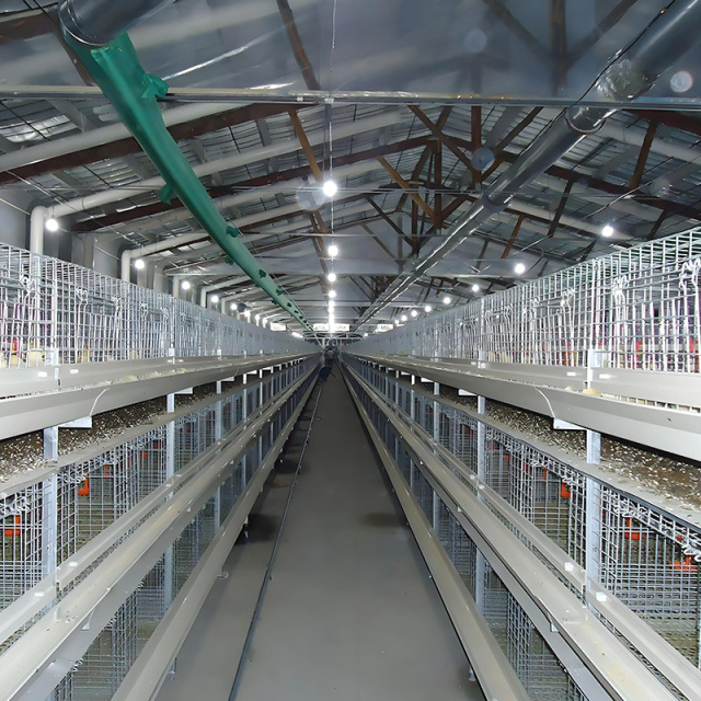 Chickens Poultry Farm / Prefabricated Poultry House