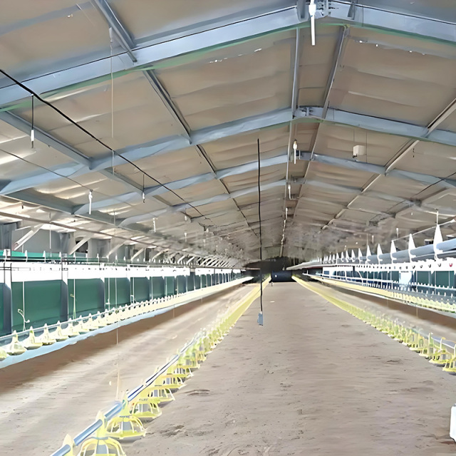 Economical steel structure poultry farms / cattle sheds, pig houses, chicken houses