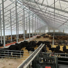 Prefab Farm Shed Building / Portable Prefab Steel Warehouse and Cattle Shed Farmhouse Building