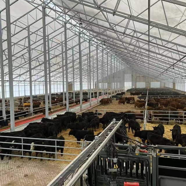 Prefab Farm Shed Building / Portable Prefab Steel Warehouse and Cattle Shed Farmhouse Building
