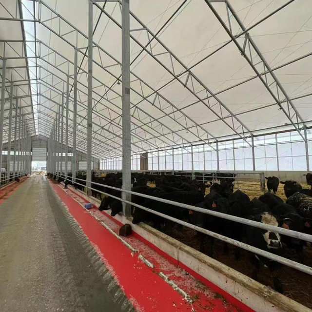 Durable prefabricated light steel structure poultry house / chicken coop / goat shed / cattle shed