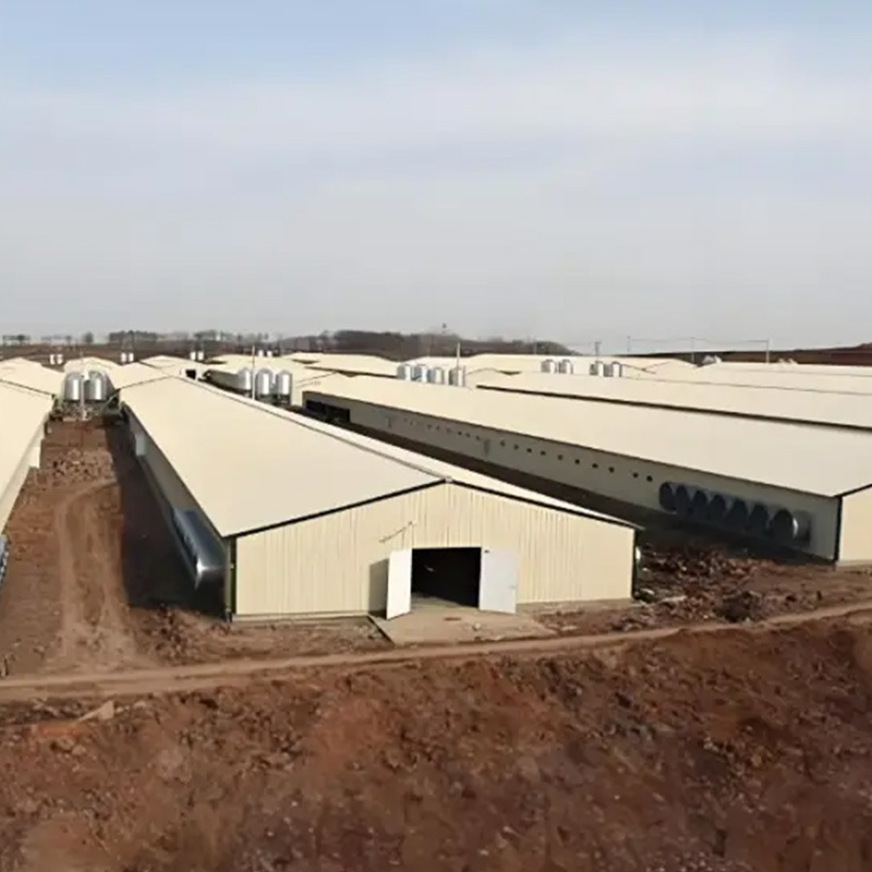 Prefabricated Steel Structure Buildings Chicken Shed Low-Priced Poultry Farm Design for Chicken Farms