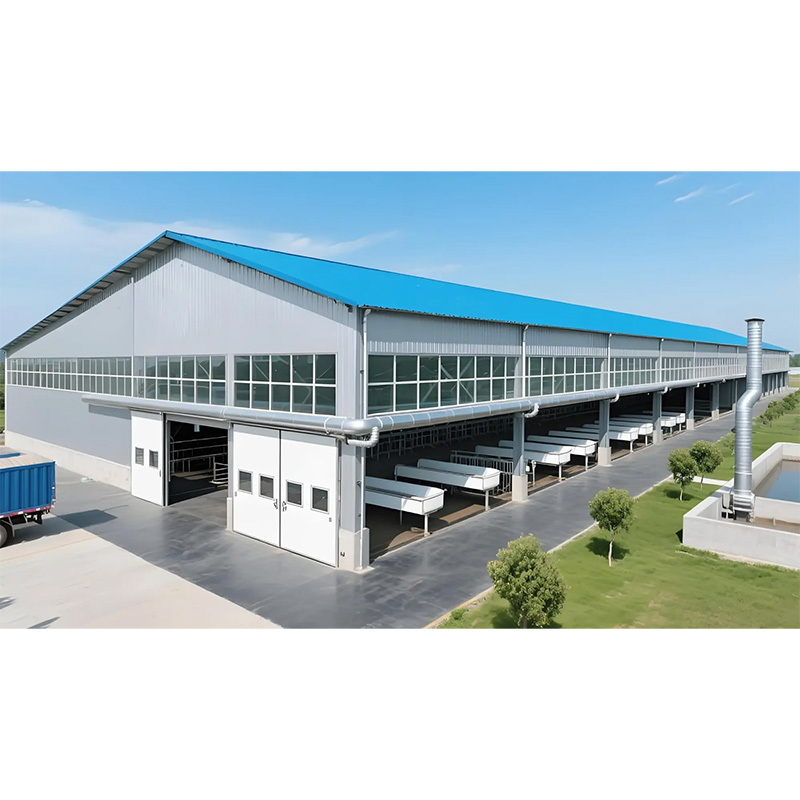 Steel Structure Design Livestock Farm Shed Goat /Cattle Farms Building