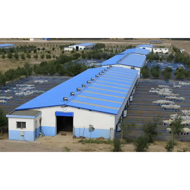 Environmentally friendly steel structure pig house / Ventilated livestock farm building