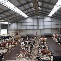 Modern Design Steel Structure Prefab Light Metal Cattle Shed for Farm