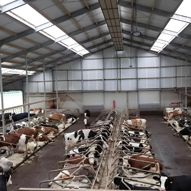 Modern Design Steel Structure Prefab Light Metal Cattle Shed for Farm