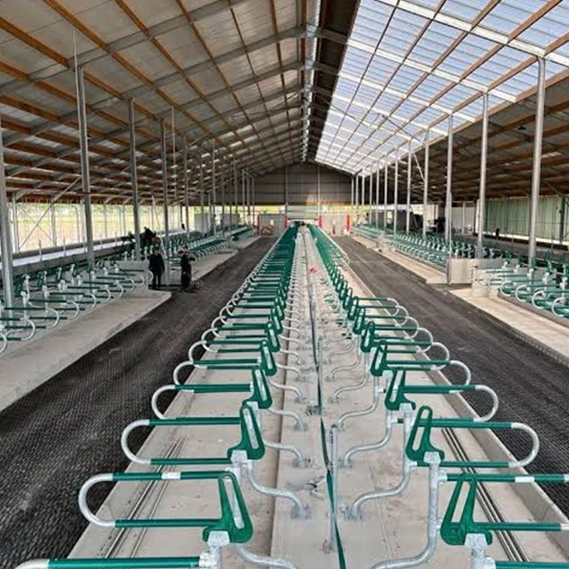 Durable prefabricated light steel structure poultry house / chicken coop / goat shed / cattle shed