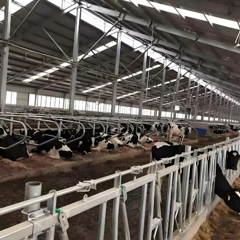 Modern Design Prefab Agricultural Steel Structure Outdoor Animal Shelter Cow Shed Farm Building for Farmhouse Use