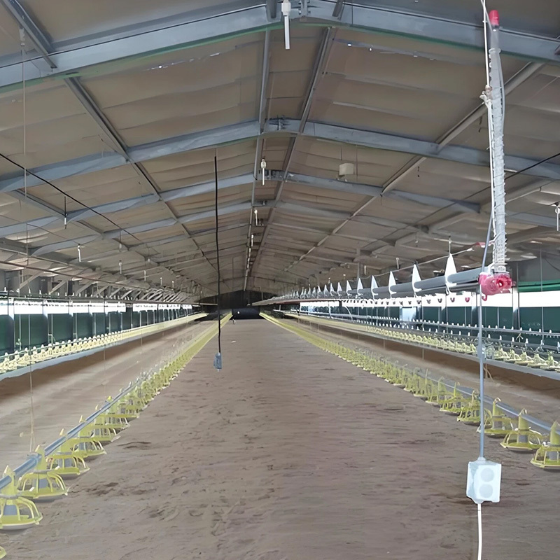 Prefabricated Steel Structure Buildings Chicken Shed Low-Priced Poultry Farm Design for Chicken Farms