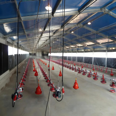 Prefabricated Galvanized Steel Frame Chicken Farms House