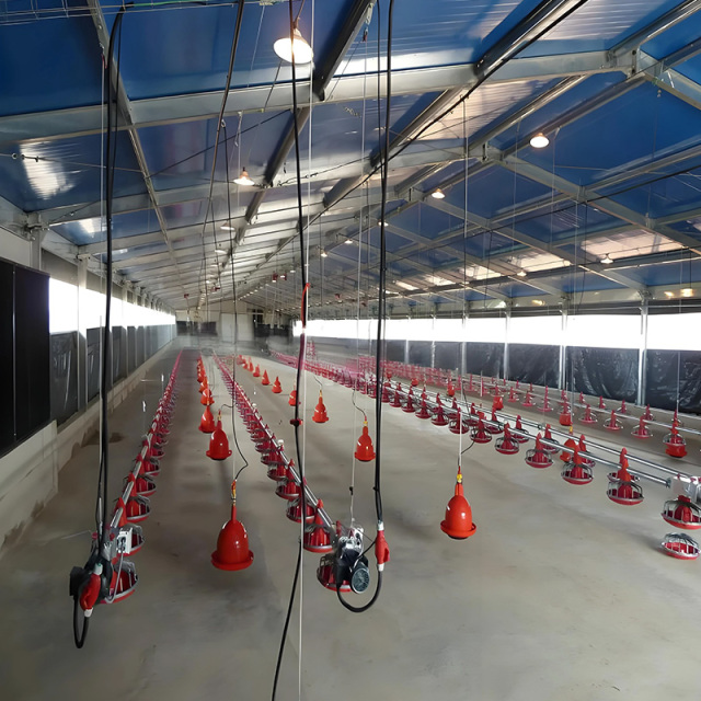 Prefabricated Galvanized Steel Frame Chicken Farms House