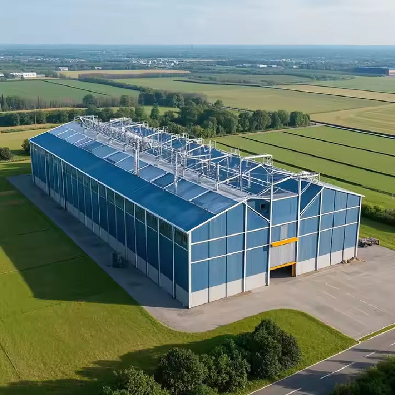 Steel Structure Warehouse / Steel structure modular prefabrication factory warehouse / workshop