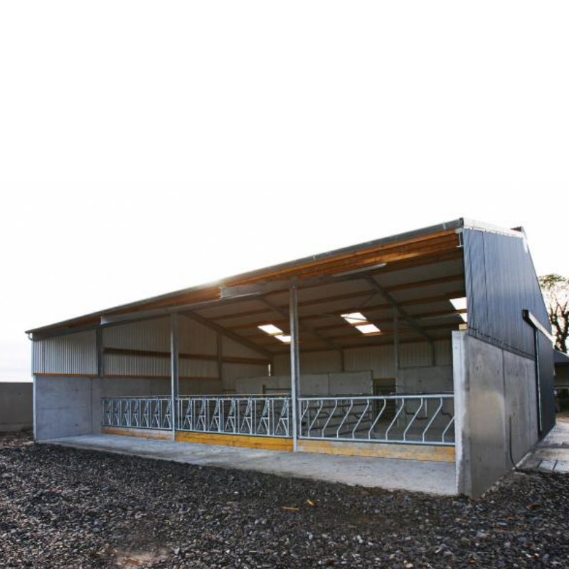 Livestock Shelter Dairy Farm Shed for Live Cattle and Goat Shed